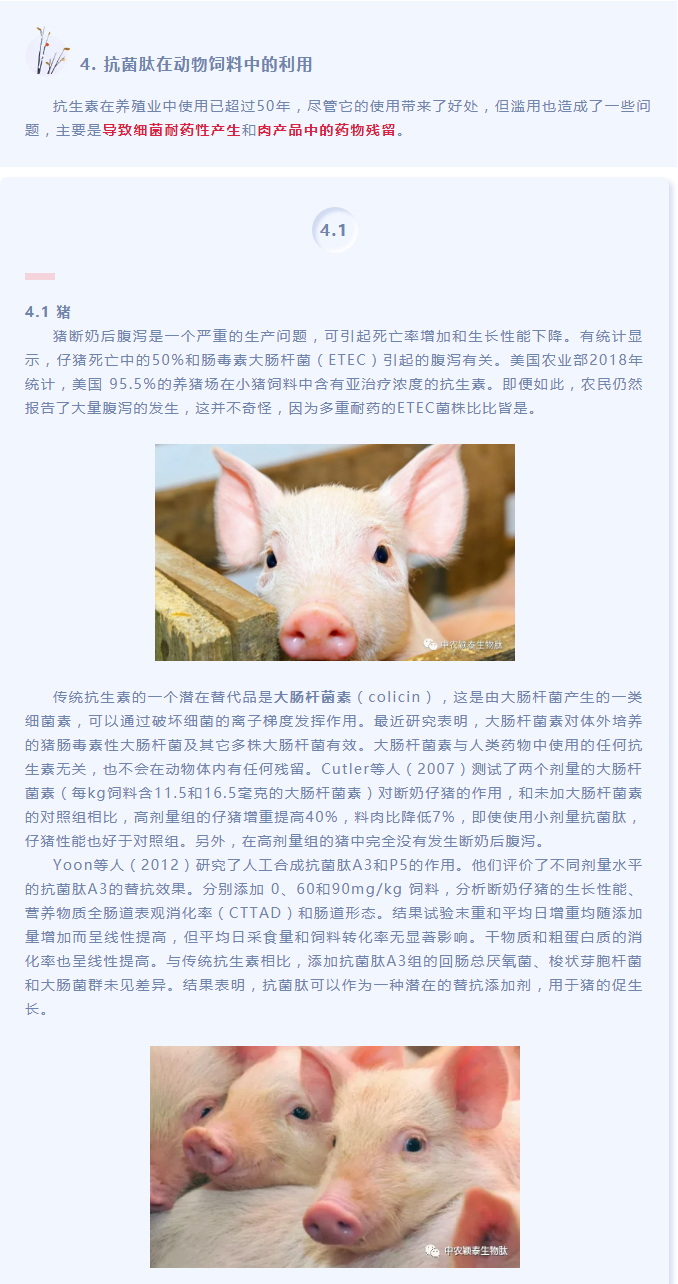 抗菌肽作為替抗飼料添加劑對動物生產(chǎn)、食品安全和公共衛(wèi)生影響的綜述（下）_01