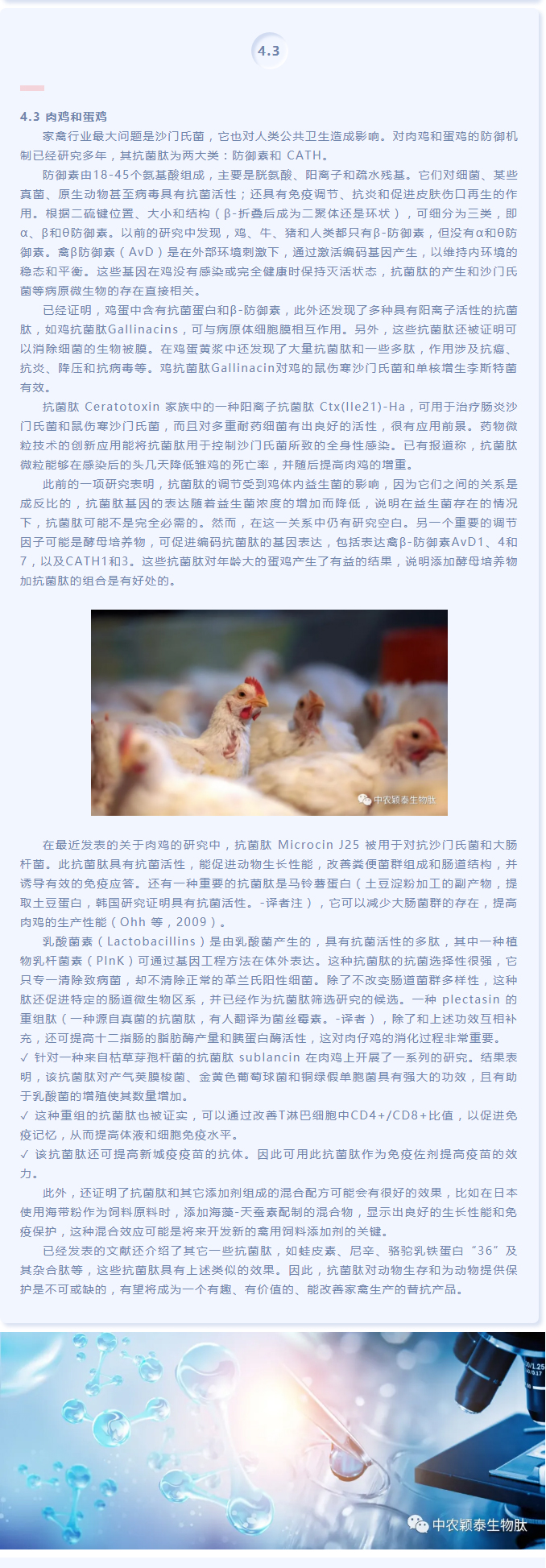 抗菌肽作為替抗飼料添加劑對動物生產(chǎn)、食品安全和公共衛(wèi)生影響的綜述（下）_03